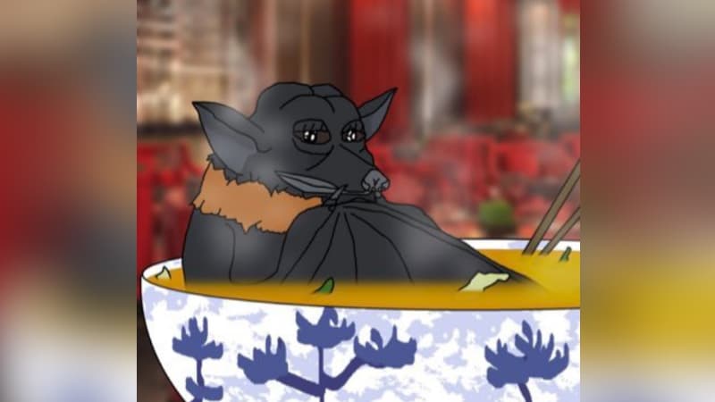 Coronavirus Bat Soup Conspiracy Theory meme template - Coronavirus Bat Soup