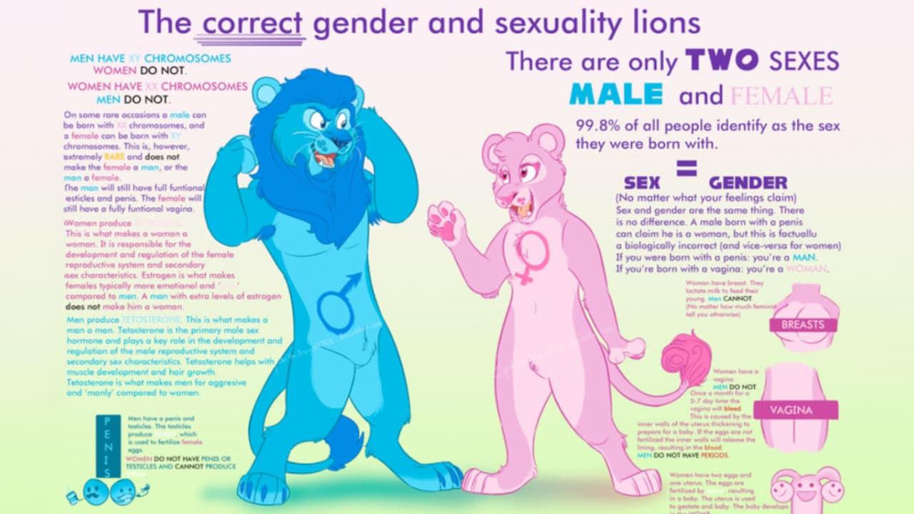 Correct Gender And Sexuality Lions meme template - Correct Gender And Sexuality Lions