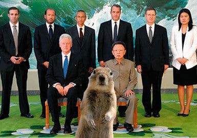 Crasher Squirrel meme template - Crasher Squirrel