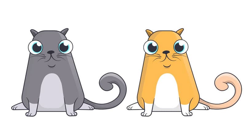 CryptoKitties meme template - CryptoKitties