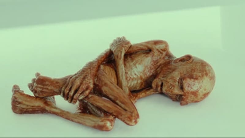 Dead Baby Voldemort meme template - Dead Baby Voldemort