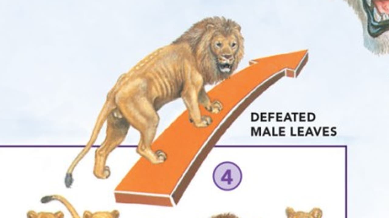 Defeated Male Leaves meme template - Defeated Male Leaves
