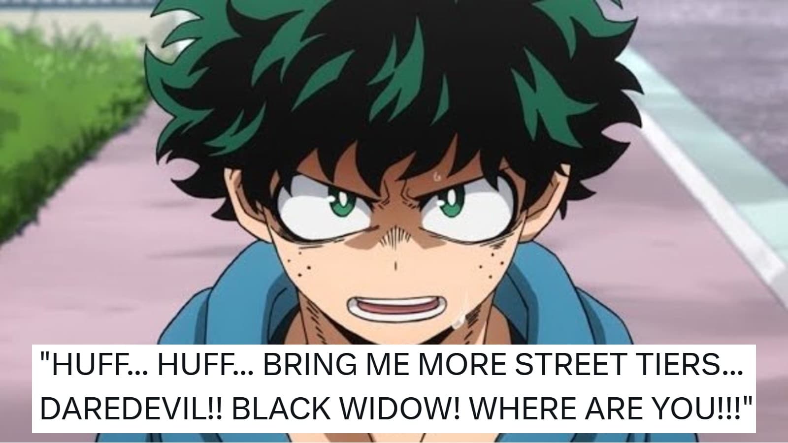 Deku Fighting Street Tiers (Spider-Man vs. Deku Death Battle) meme template - Deku vs Spider-Man