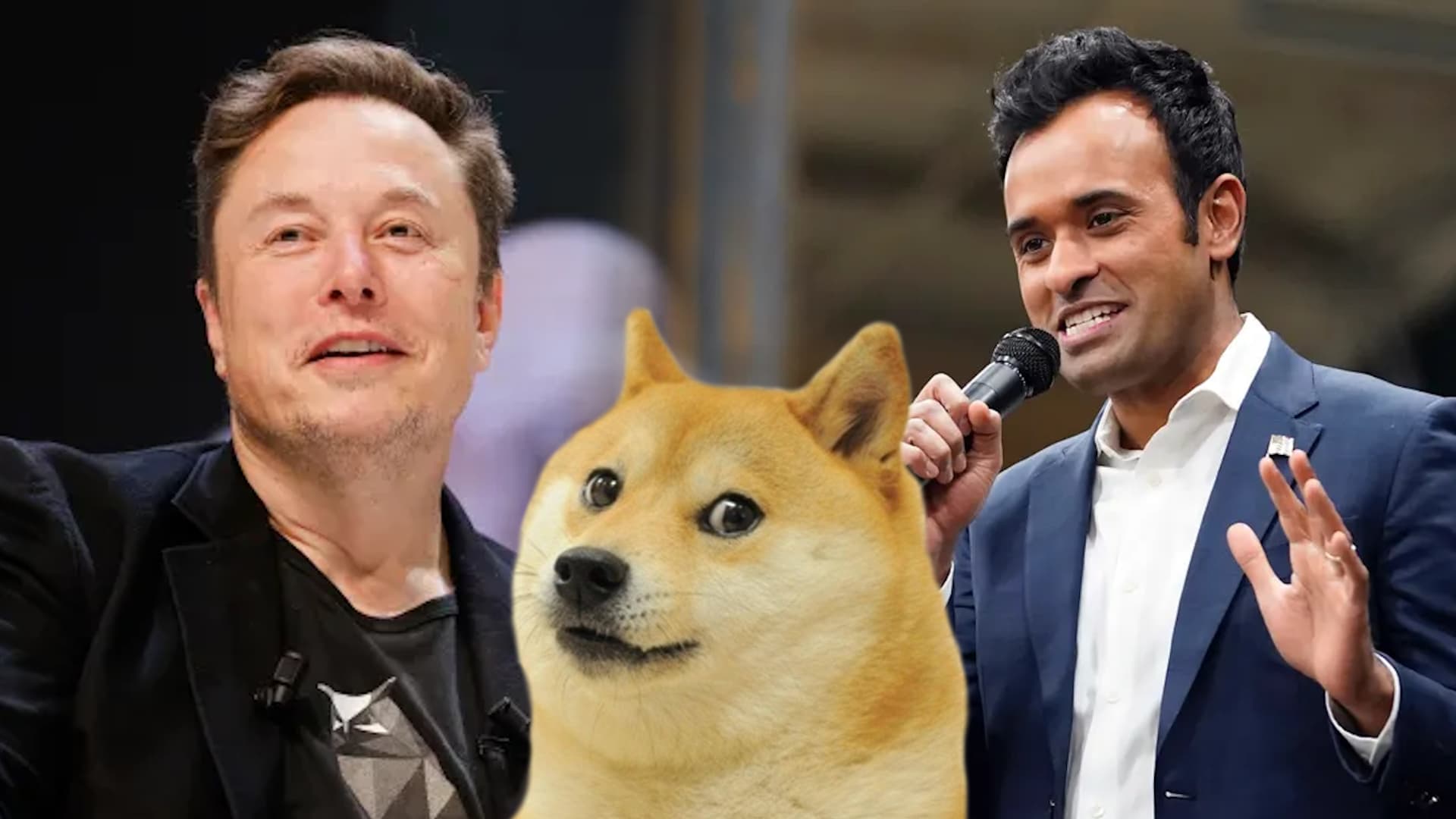 Department of Government Efficiency (DOGE) meme template - DOGE