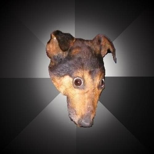 Depression Dog meme template - Depression Dog