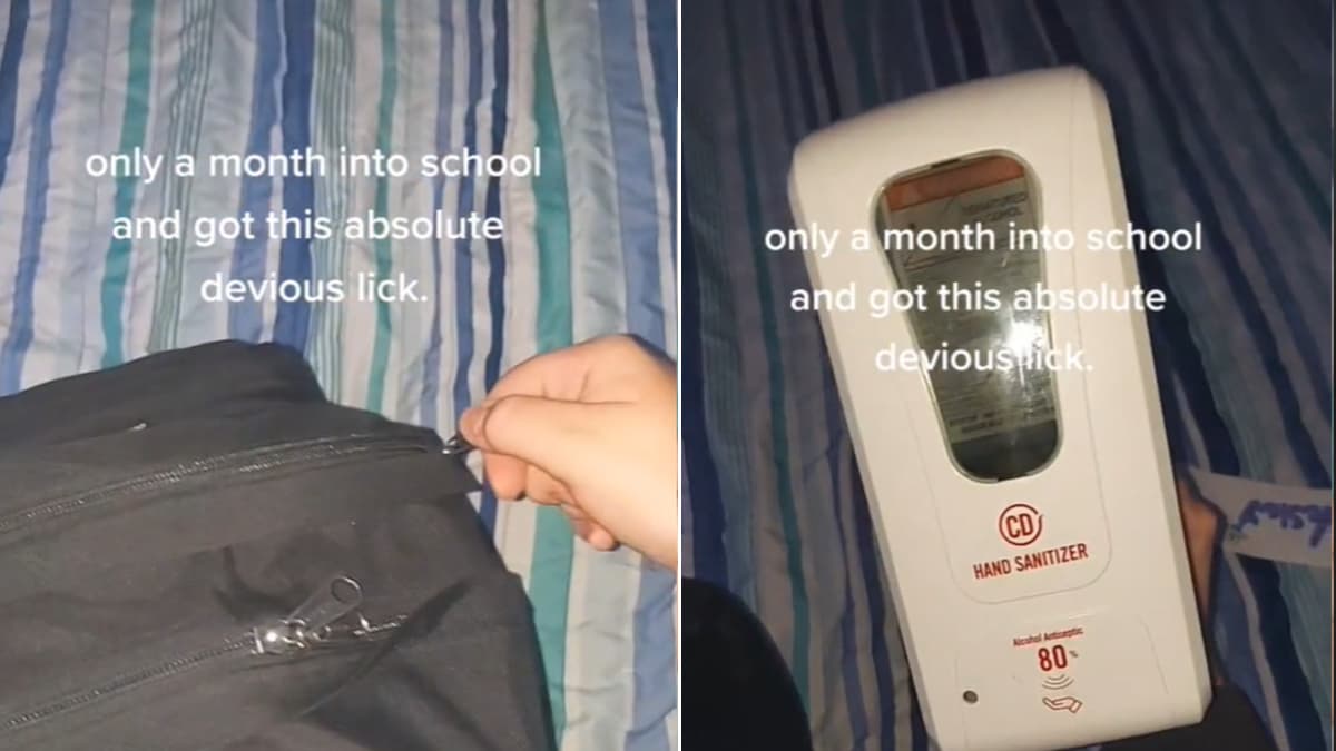 Devious Licks Trend meme template - Devious Lick