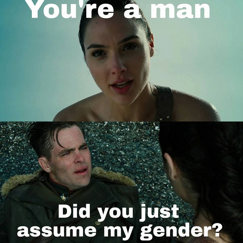 Did You Just Assume My Gender? meme template - Did You Just Assume My Gender