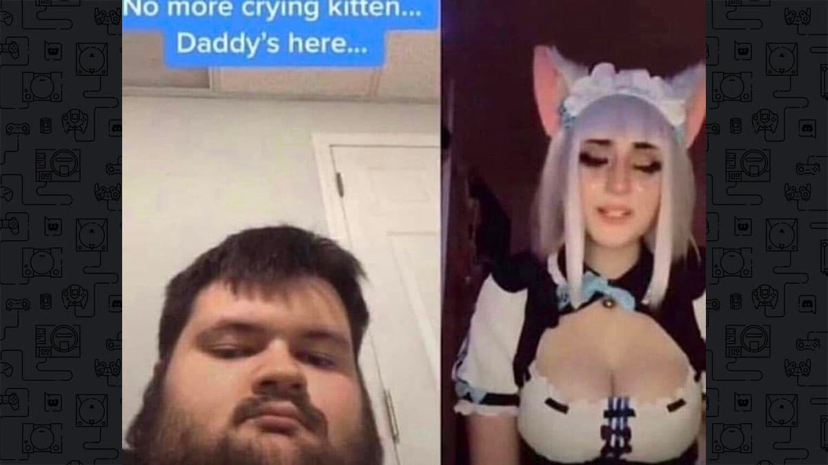 Discord Kitten meme template - Discord Kitten