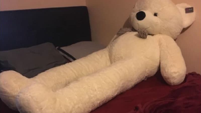 Disproportionate Teddy Bear meme template - Disproportionate Teddy Bear