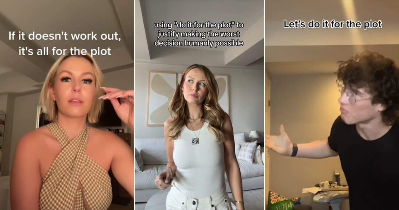 Do It for the Plot meme template - Do It for the Plot