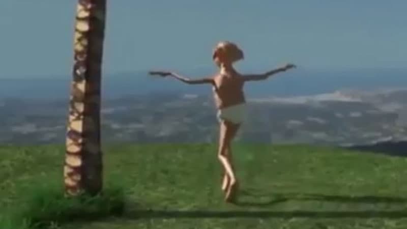 Dobby Pussy Indulgence meme template - Dobby Pussy Indulgence