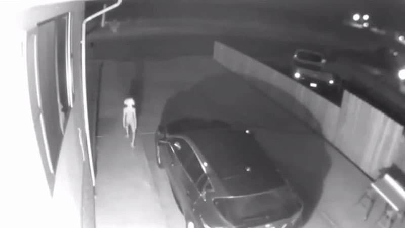 Dobby Security Camera Footage meme template - Dobby Security Camera