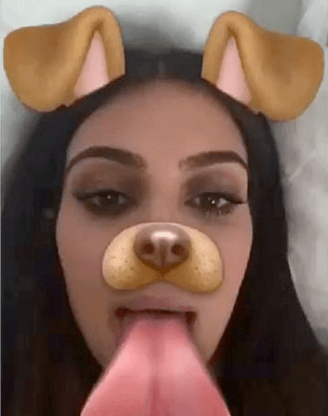 Dog Filter meme template - Dog Filter