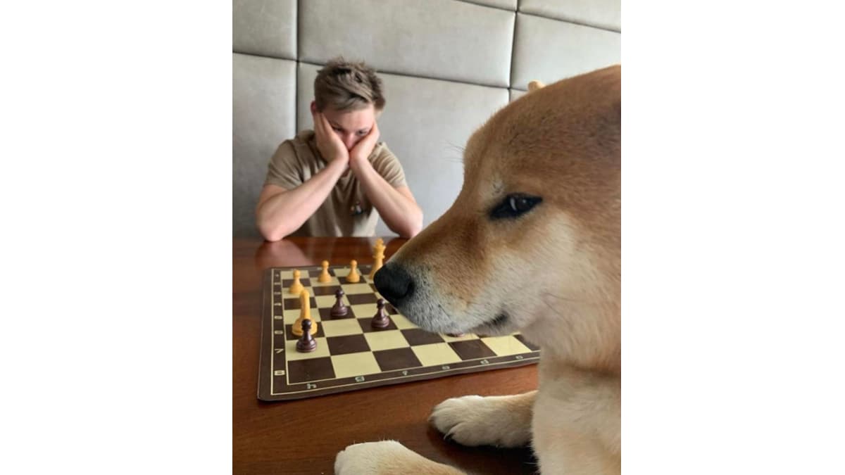 Dog Playing Chess meme template - Dog Playing Chess