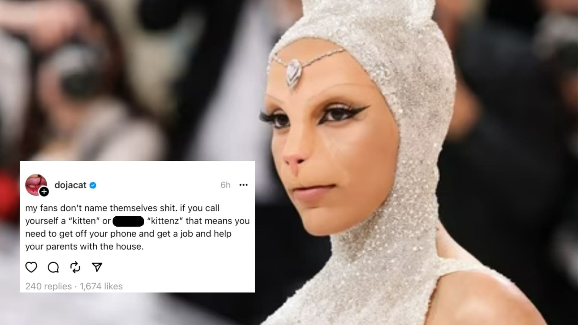 Doja Cat Hates Her Fans Controversy meme template - Doja Cat Hates Her Fans