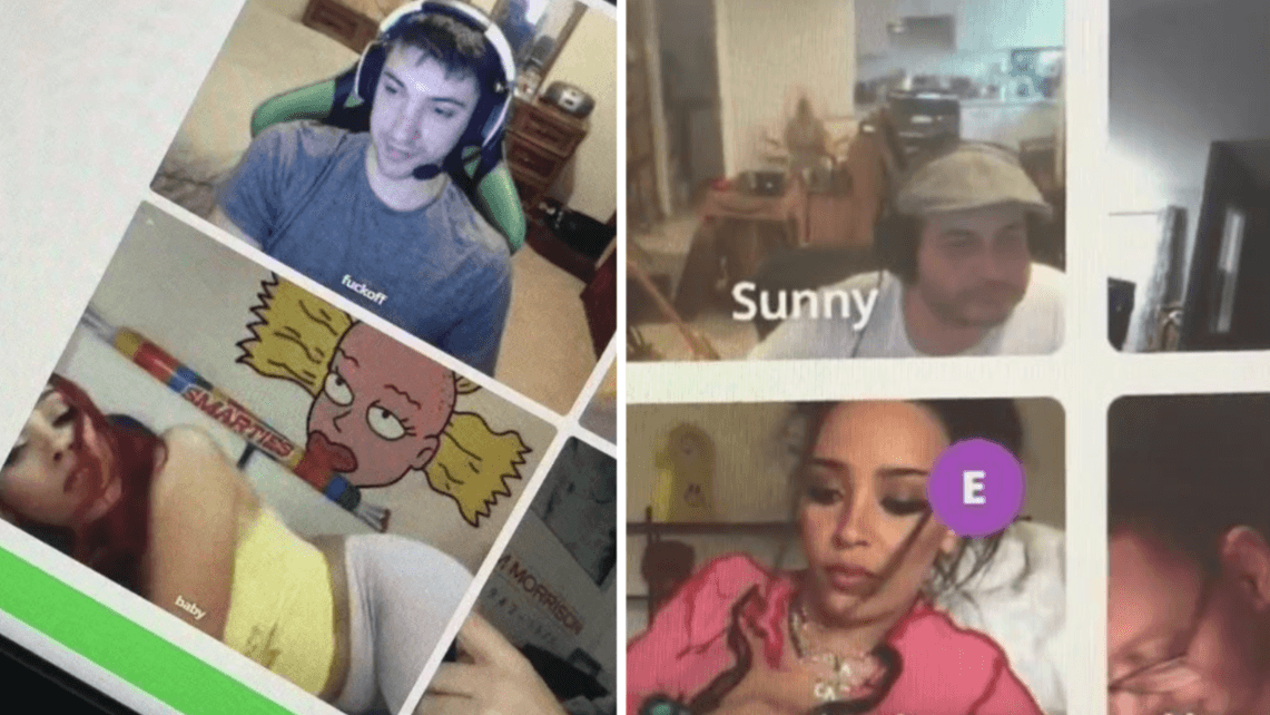 Doja Cat's TinyChat Controversy meme template - Doja Cat TinyChat