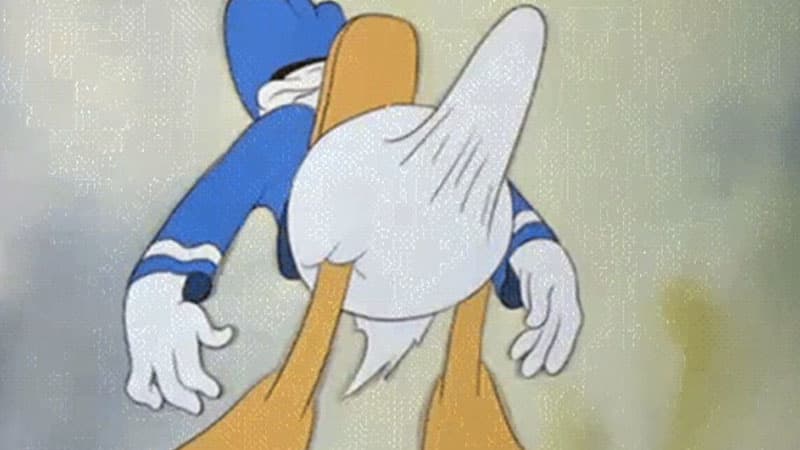 Donald Duck Boner meme template - Donald Duck Boner