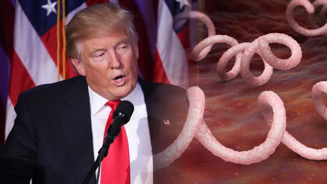 Donald Trump Untreated Syphilis Theory meme template - Donald Trump Syphilis