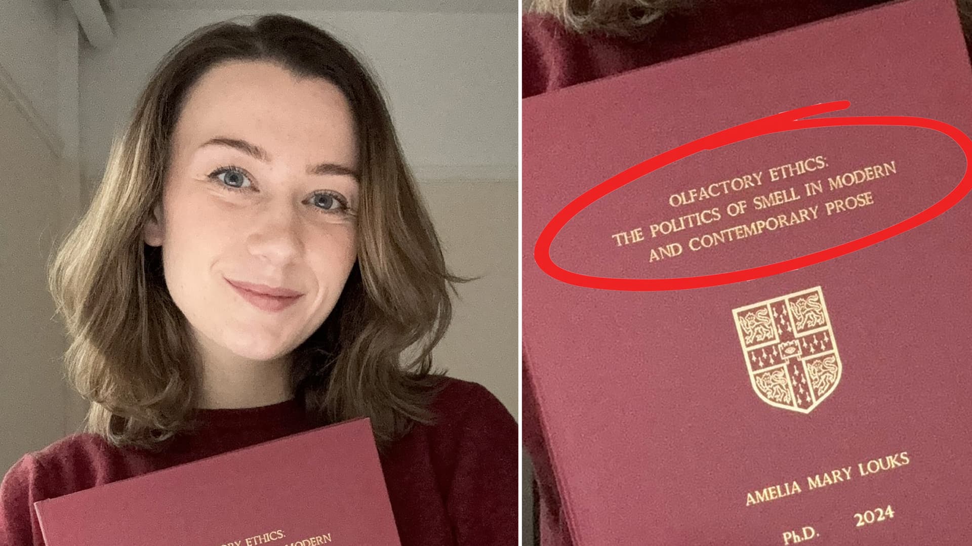 Dr. Ally Louks' "Olfactory Ethics: The Politics of Smell in Modern and Contemporary Prose" PhD Study meme template - Dr Ally Louks