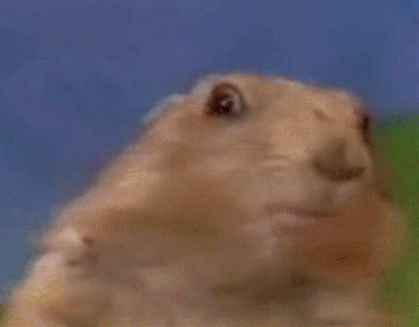 Dramatic Chipmunk meme template - Dramatic Chipmunk