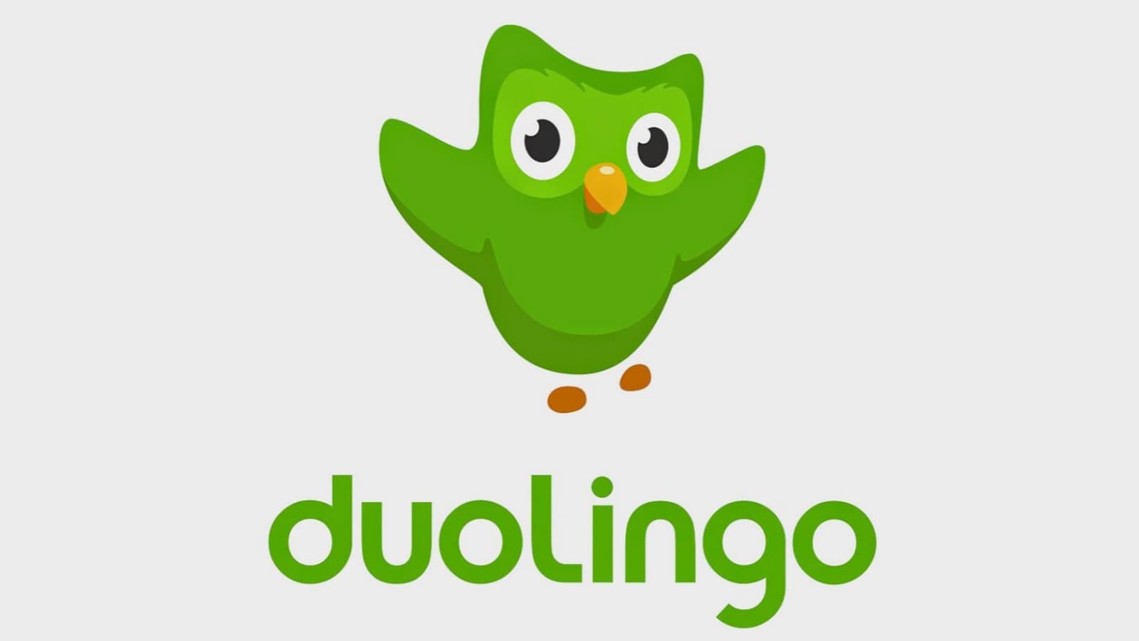 Duolingo meme template - Duolingo
