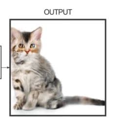 Edges2Cats meme template - Edges2Cats