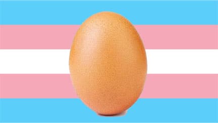 Egg (Transgender) meme template - Transgender Egg