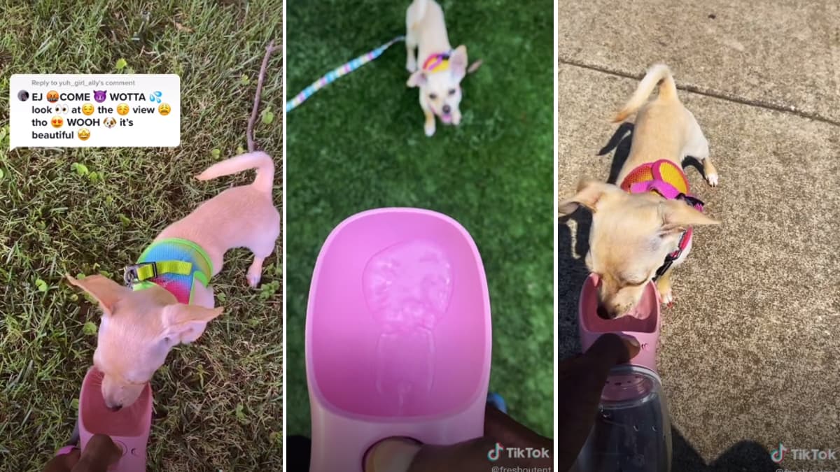 EJ Come, Water meme template - EJ Come Water