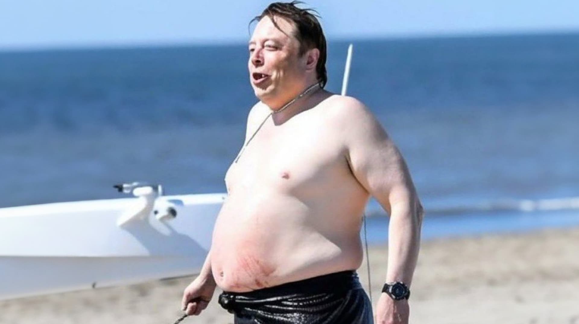 Elon Musk Shirtless Harkonnen Photo meme template - Elon Musk Shirtless
