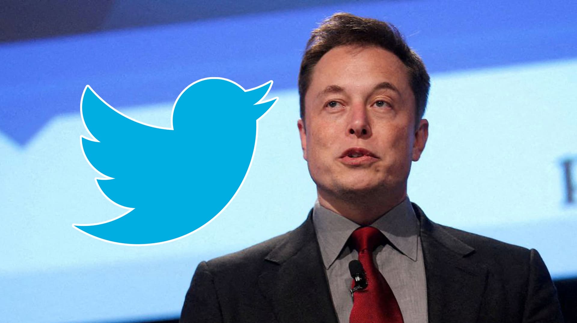 Elon Musk's Twitter Acquisition meme template - Elon Musk Twitter