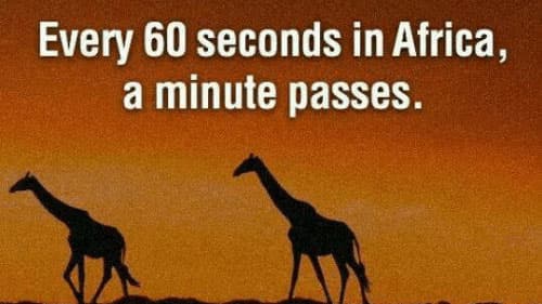 Every 60 Seconds in Africa a Minute Passes meme template - Every 60 Seconds in Africa
