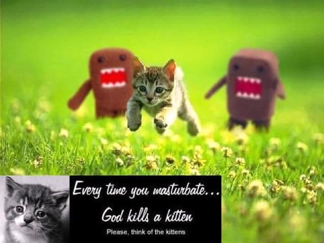 Every time you masturbate, God kills a kitten meme template - Every time you masturbate God kills a kitten meme