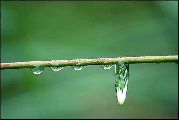 Extended Cut YTMNDs meme template - Extended Cut YTMNDs