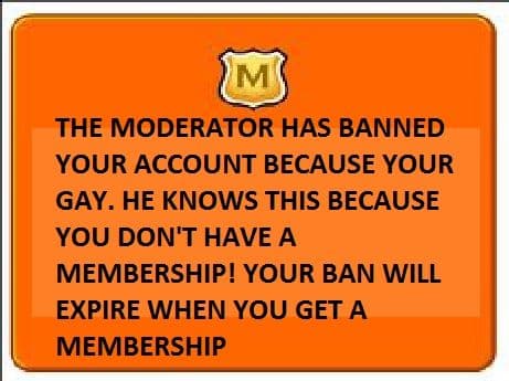 Fake Club Penguin Bans meme template - Fake Club Penguin Ban