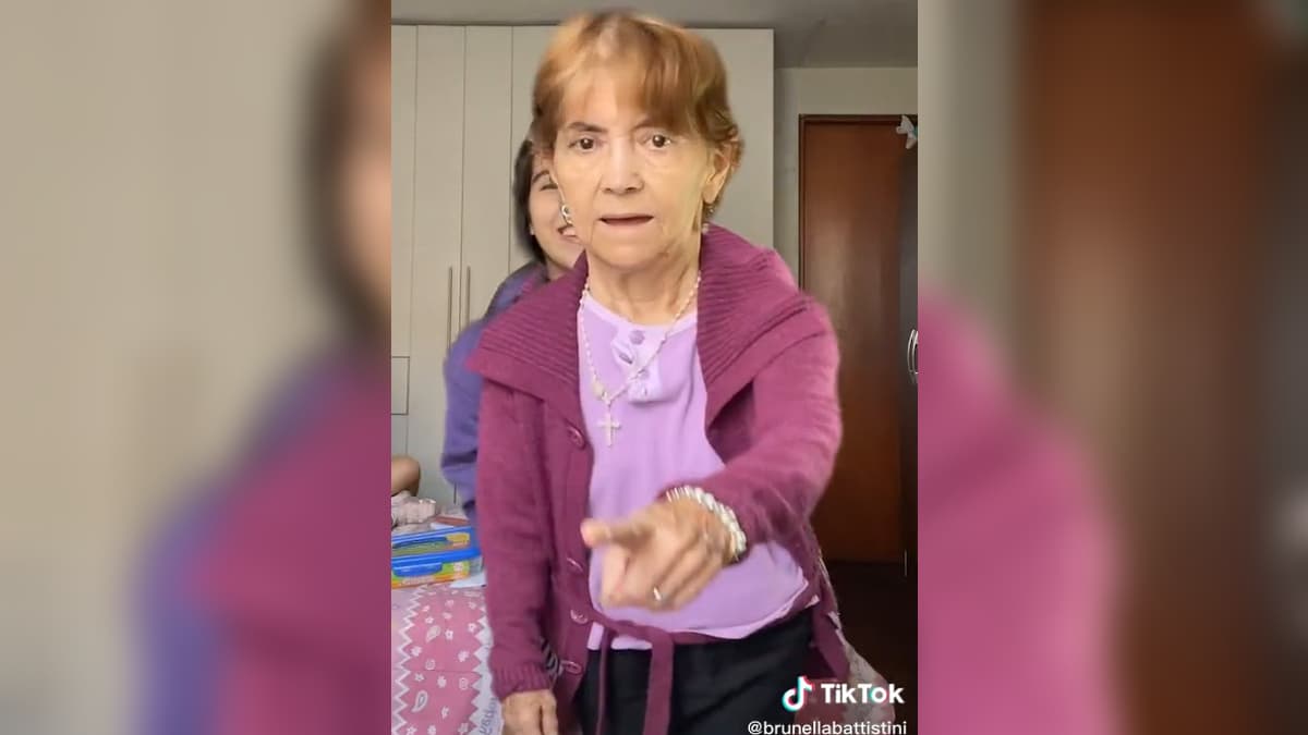 Falling Filter (TikTok) meme template - Falling Filter TikTok