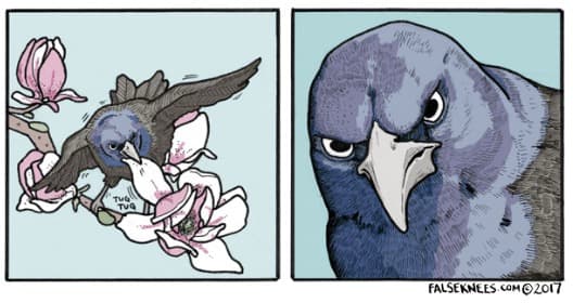 False Knees meme template - False Knees