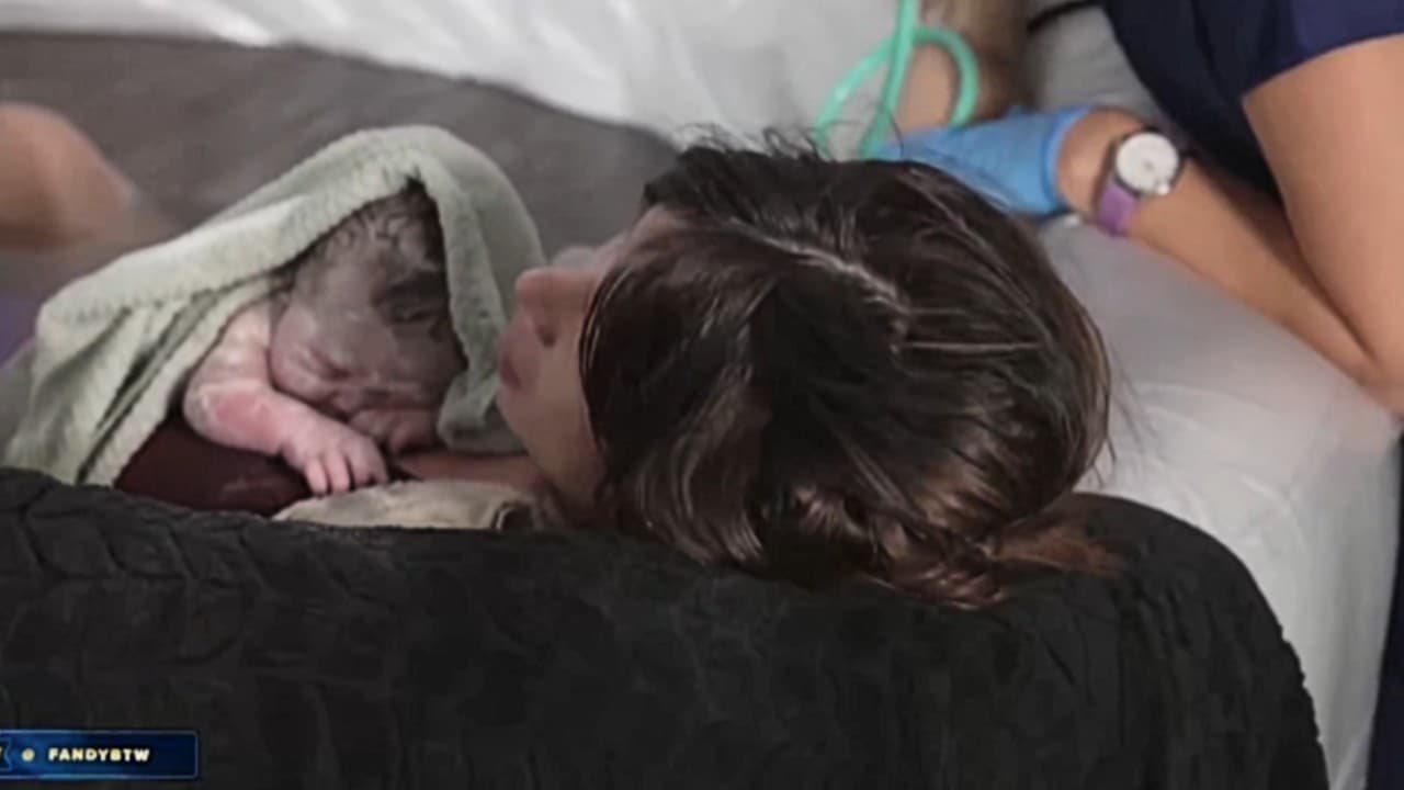 Fandy Birth Livestream meme template - Fandy Birth Livestream