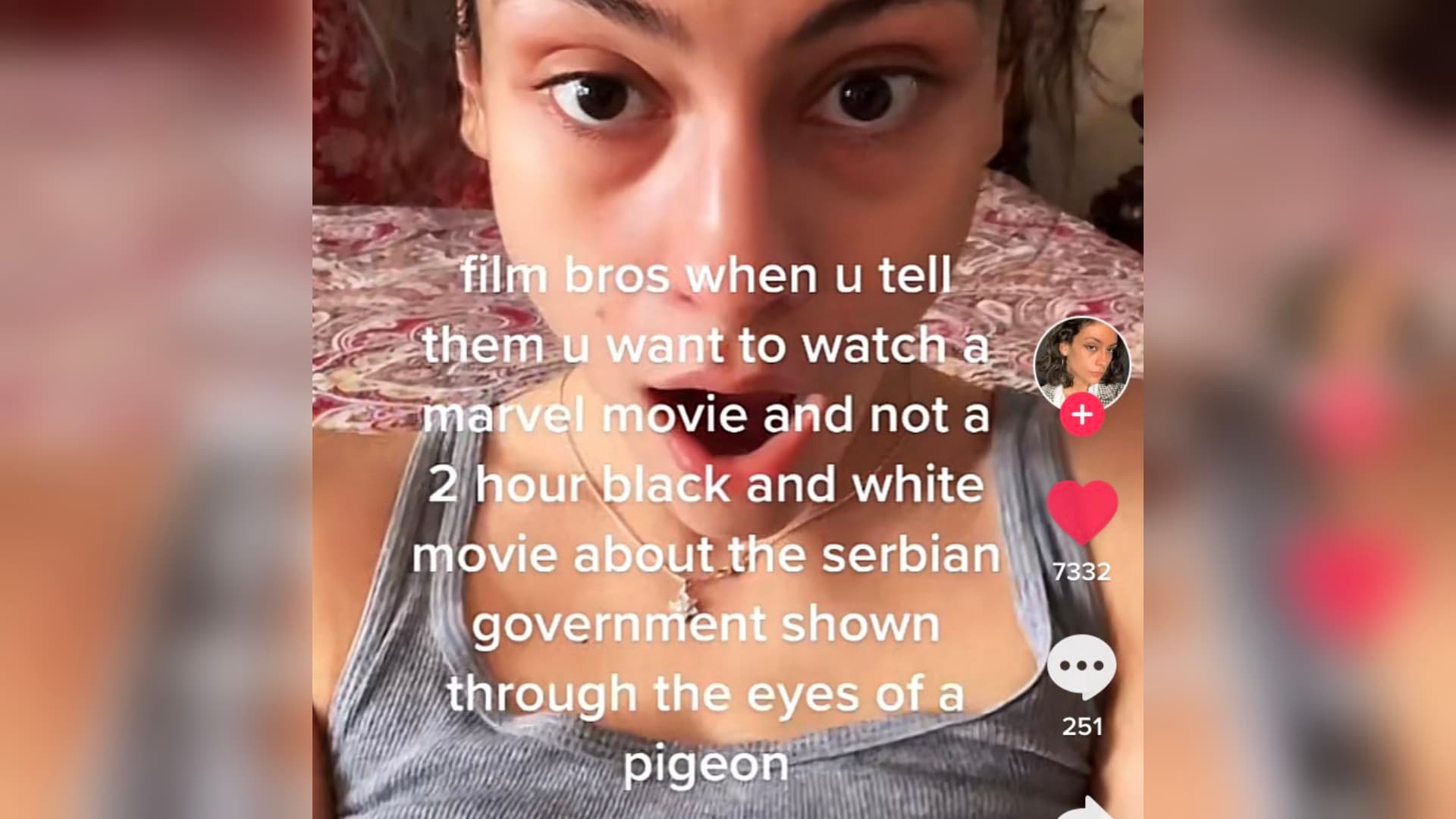 Film Bros When You Tell Them You Want to Watch a Marvel Movie meme template - Film Bros