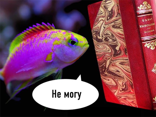 Fish Are Trying to Read meme template - Fish Are Trying to Read