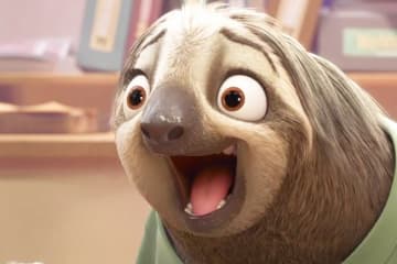 Flash Slothmore Reaction meme template - Flash Slothmore