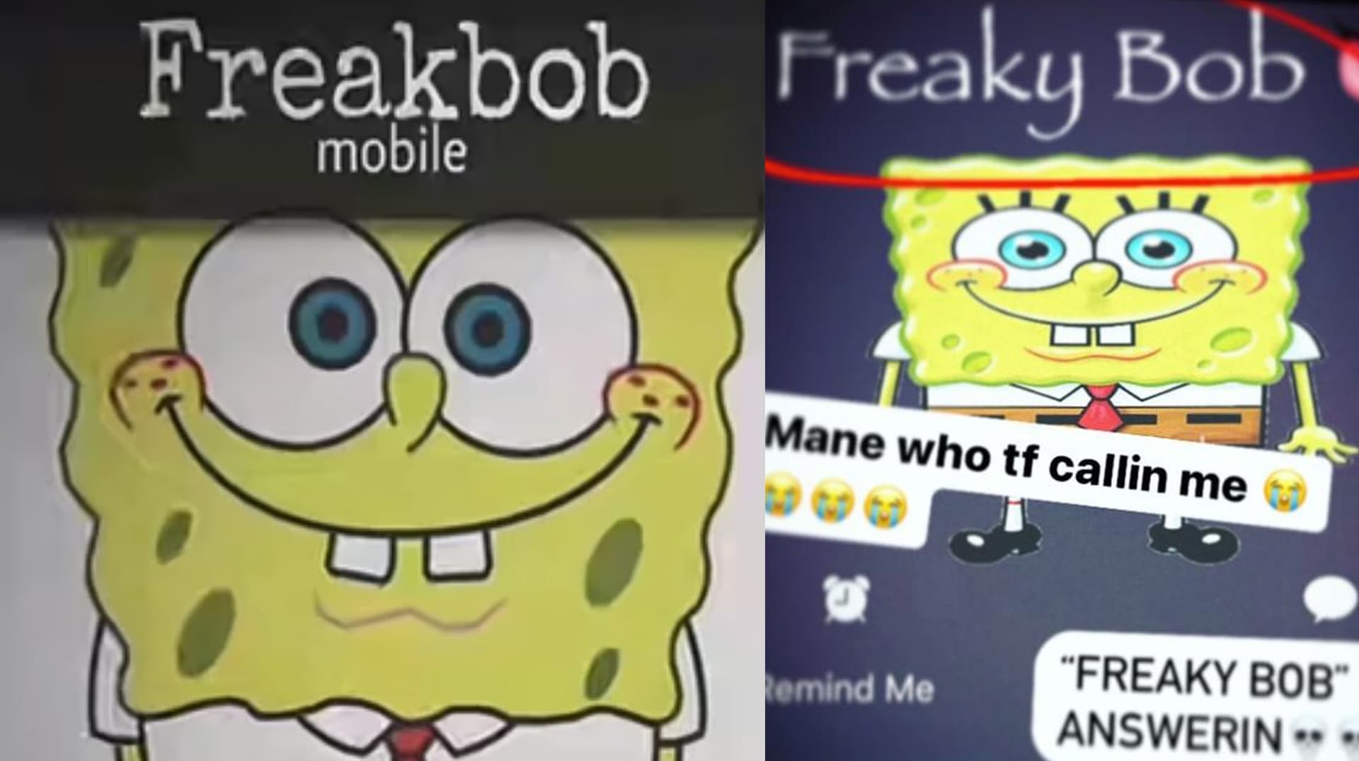 Freakbob / Freakybob meme template - Freakbob