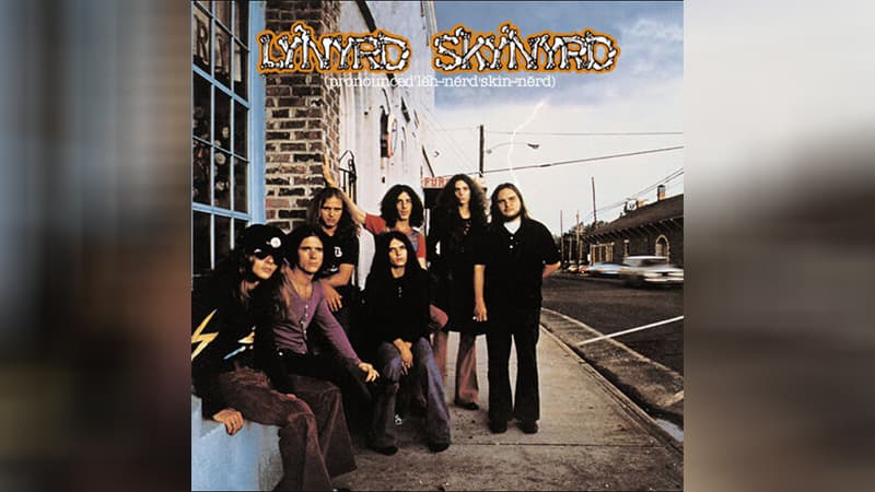 Free Bird (Song) meme template - Free Bird