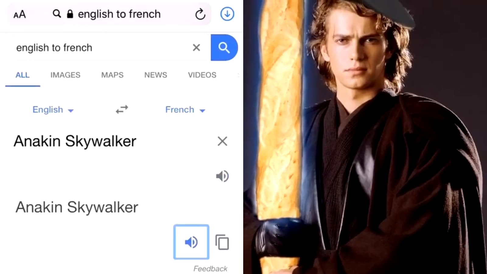 French Google Translate meme template - French Google Translate
