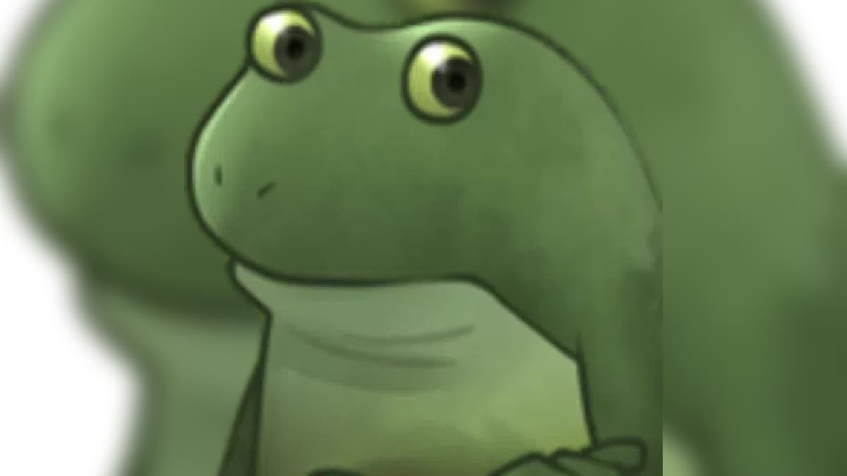 Froge / Worry Frog meme template - Froge