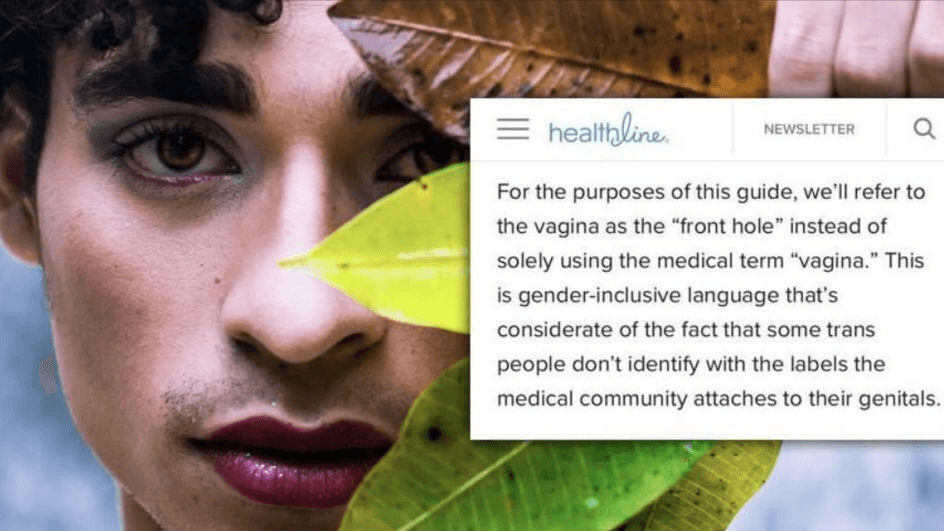 Front Hole meme template - Front Hole