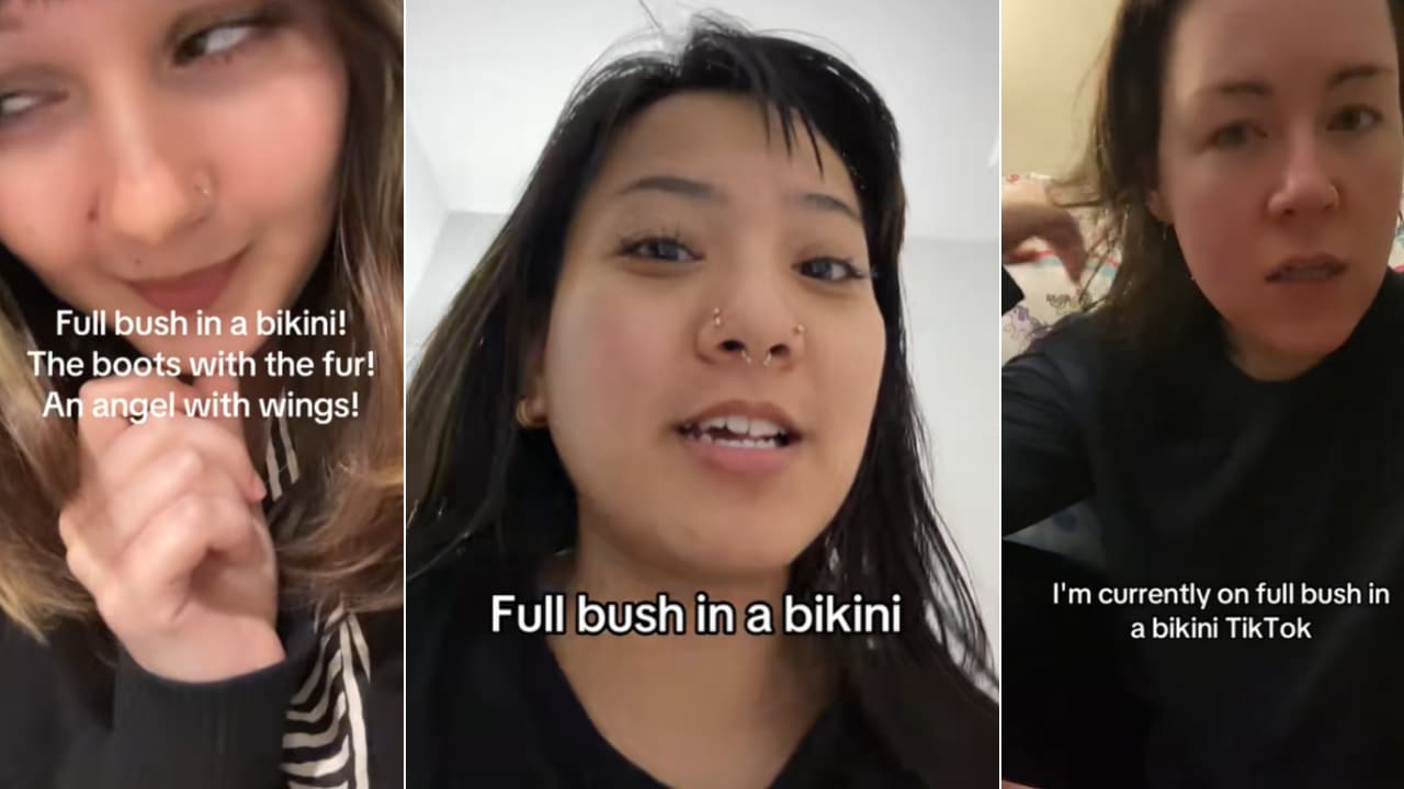 Full Bush In a Bikini meme template - Full Bush In a Bikini