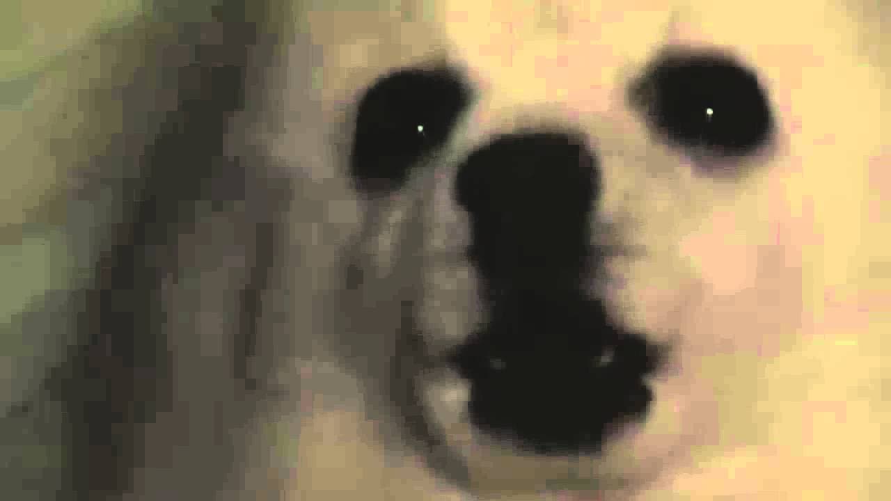 Gabe the Dog / Bork Remixes meme template - Gabe the Dog