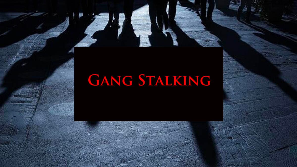 Gangstalking / Gangstalkers meme template - Gangstalking