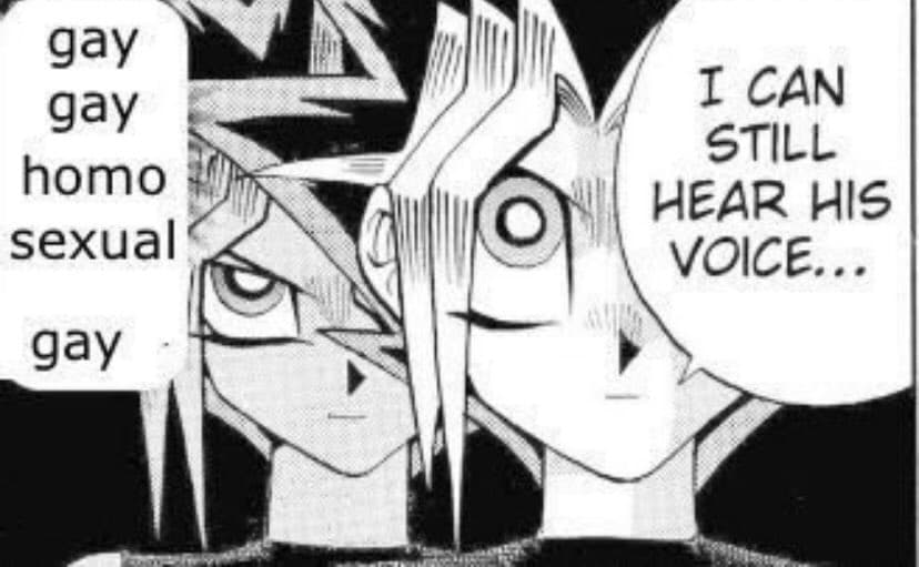 Gay Gay Homosexual Gay / I Can Still Hear His Voice meme template - Gay Gay Homosexual Gay