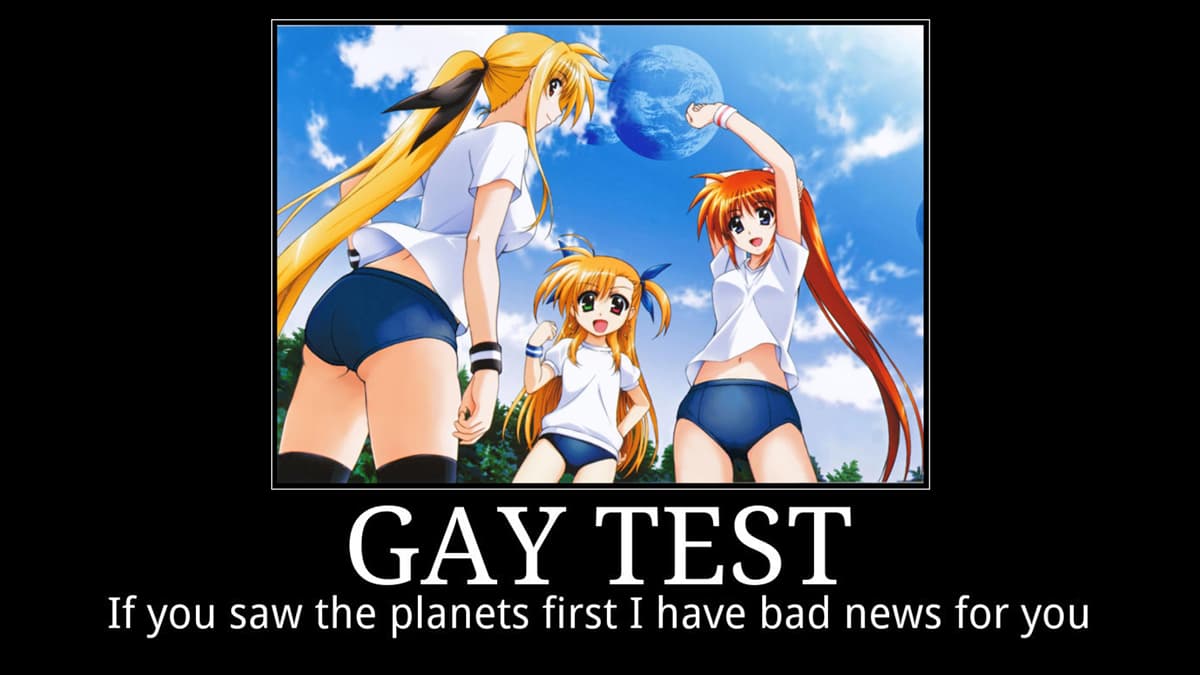 Gay Test (Demotivational Posters) meme template - Gay Test